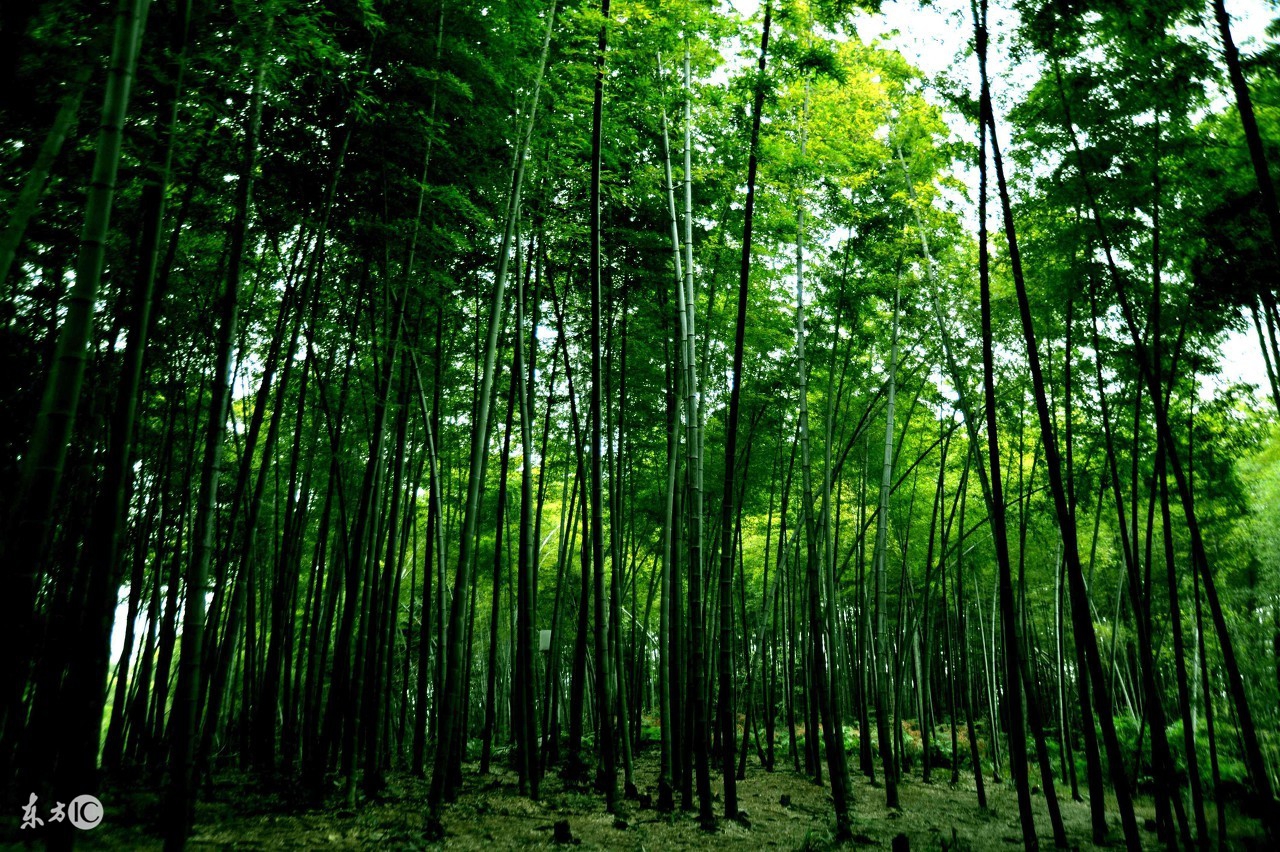 你为什么总觉得你很穷,你为什么穷因为认知太低