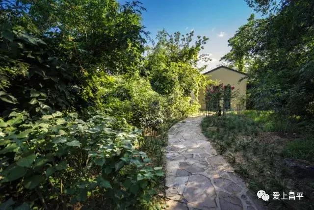 昌平民宿独立小院20人,北京昌平民宿排行榜前十名