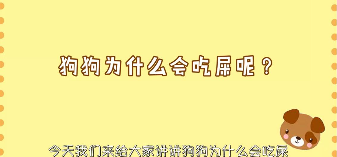狗狗拉软便什么原因,狗狗吃自己拉的臭臭怎么处理