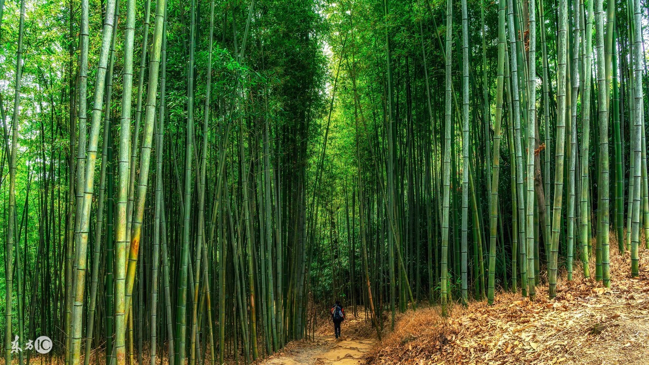 你为什么总觉得你很穷,你为什么穷因为认知太低