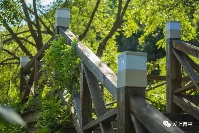 昌平民宿独立小院20人,北京昌平民宿排行榜前十名