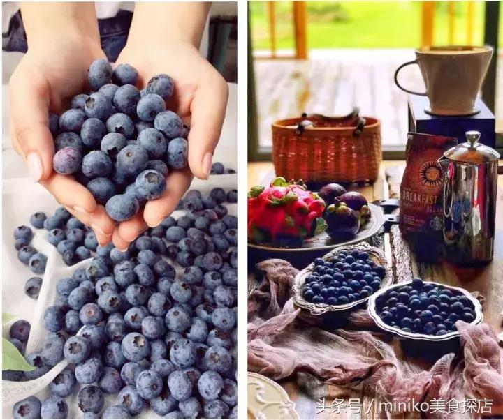 成都周边农场推荐,成都周边最有特色的农场