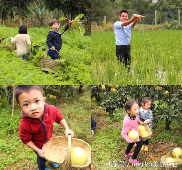 成都周边农场推荐,成都周边最有特色的农场