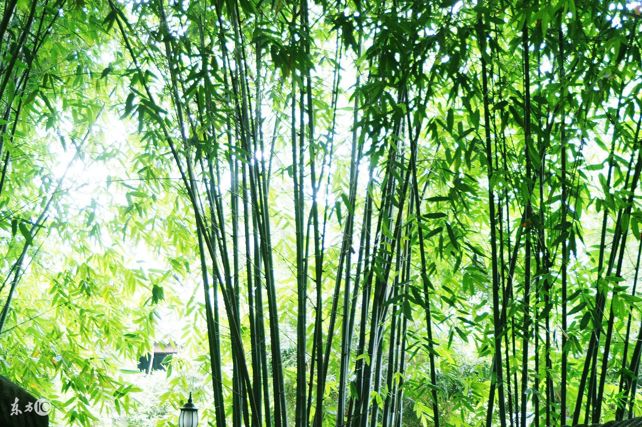 你为什么总觉得你很穷,你为什么穷因为认知太低