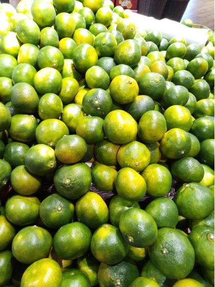 魅蓝6这款手机怎么样,魅蓝六真实评价