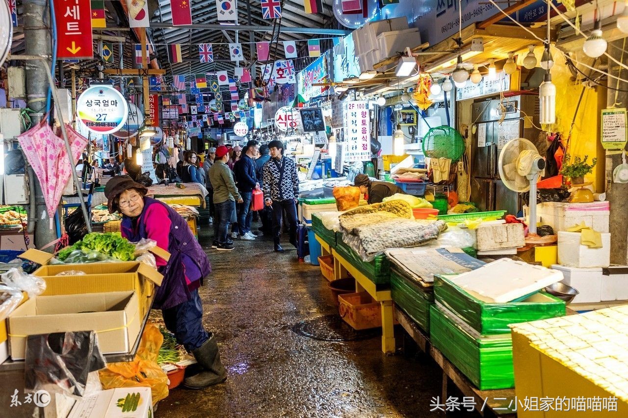 国庆节不要钱的景点,吐槽国庆不能出去玩