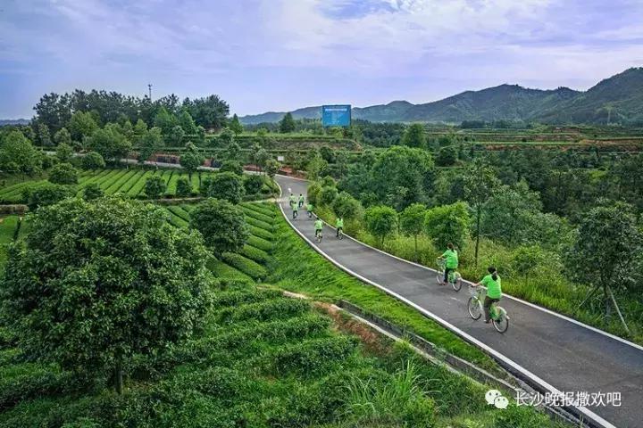 国庆长沙游玩,国庆节长沙旅游十大必去景点