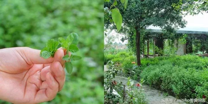 成都周边农场推荐,成都周边最有特色的农场