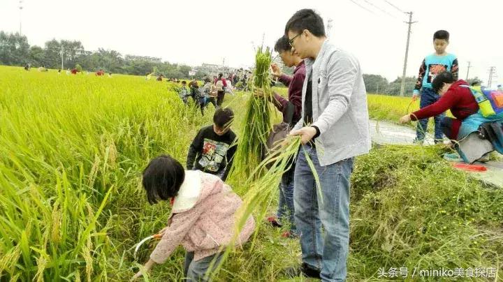 成都周边农场推荐,成都周边最有特色的农场