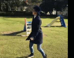 都是月亮惹的祸视频背景,都是月亮惹的祸资料