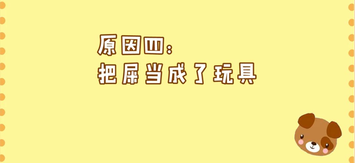狗狗拉软便什么原因,狗狗吃自己拉的臭臭怎么处理