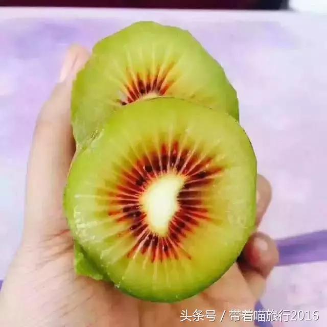 奉化旅游攻略两天一夜,十一宁波奉化旅游景点