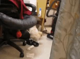 500万大奖彩票图片,500万买彩票能中多少