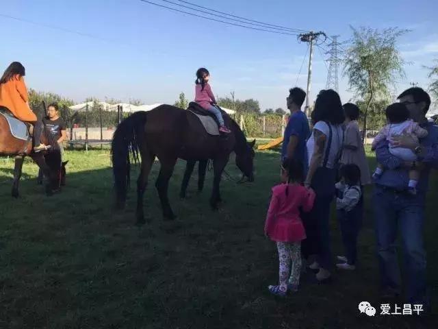 昌平民宿独立小院20人,北京昌平民宿排行榜前十名