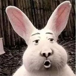 好看又高级的化妆包,日常必备高颜值化妆包