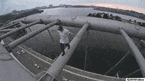 鱼，鱼，我的鱼呢？