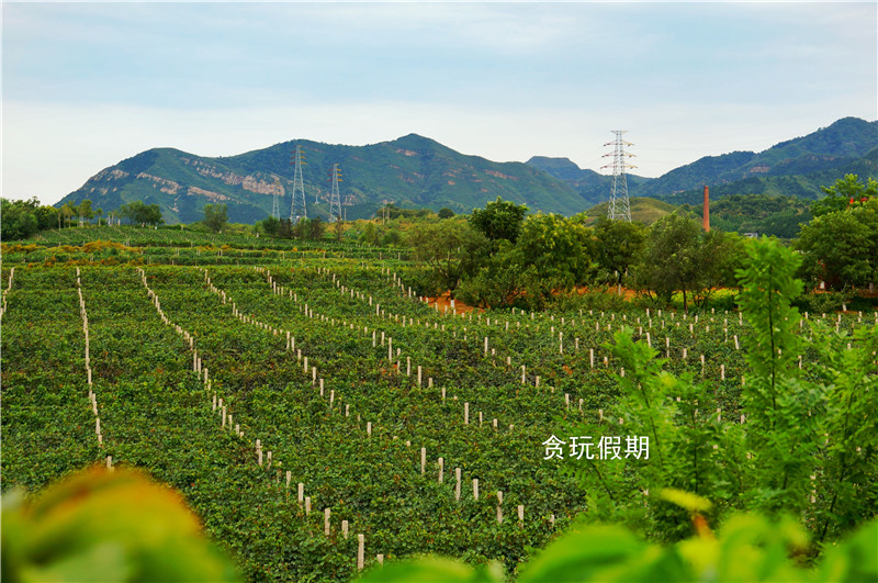 张裕爱斐堡国际酒庄广告视频,张裕爱斐堡酒庄最佳旅游时间