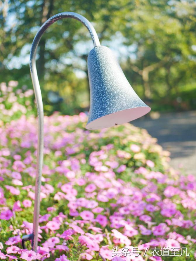 名古屋周边自由行推荐,日本名古屋一日游攻略住宿