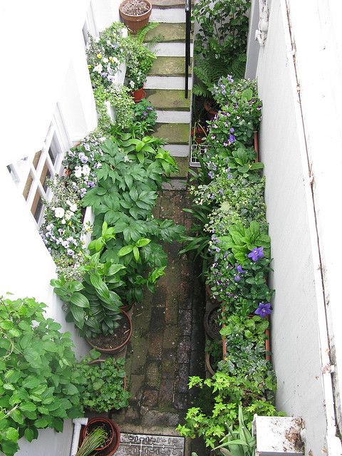 头一次见厨房装两个门,头一次见下沉式浴缸