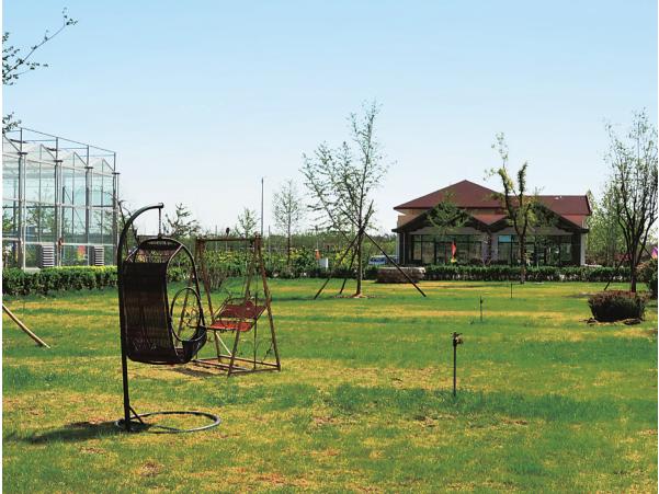 京郊采摘,秋天京郊采摘好去处