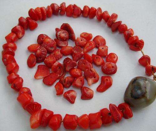 红珊瑚珠宝多少一克,关于红珊瑚珠宝