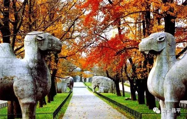 十一假期旅游推荐北京昌平,昌平九月周边游一日游自驾游