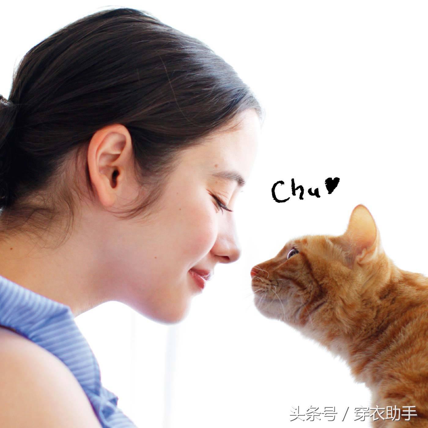 提升猫咪幸福感的东西,提升猫咪智商的玩具