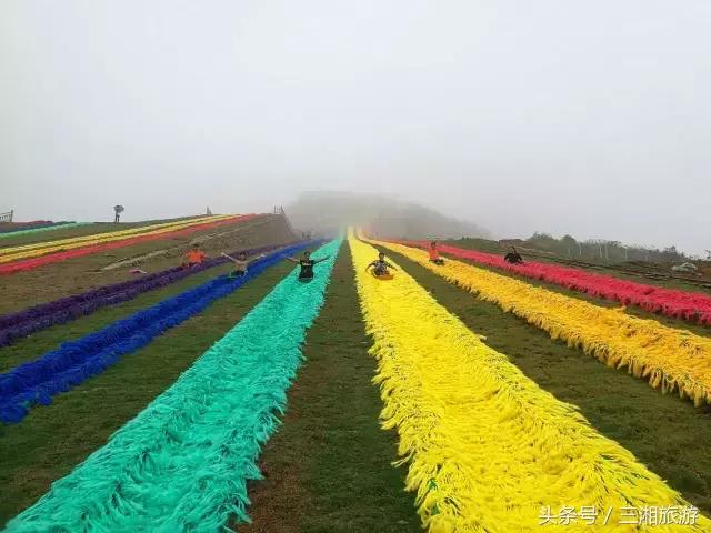 株洲哪里有花海可以看,株洲沿江风光带花海