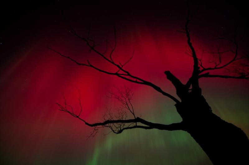 是什么力量隐藏在巫师星云之内？强大的引力形成了恒星