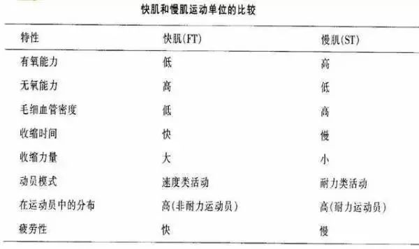 蒋欣三个动作瘦到90斤,蒋欣成功瘦到九十斤靠这三个动作
