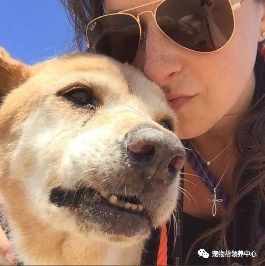 流浪狗被抛弃后又不幸得重病,流浪狗生病被救助