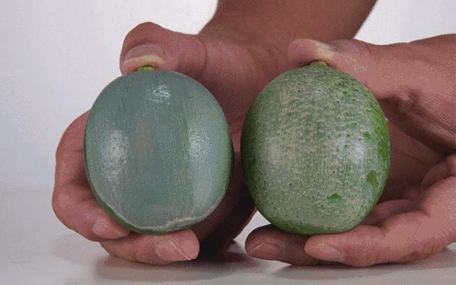 濞滄墡鍚屾缁胯壊濂楄,濞滄墡鍚屾鍥藉唴鐜拌揣