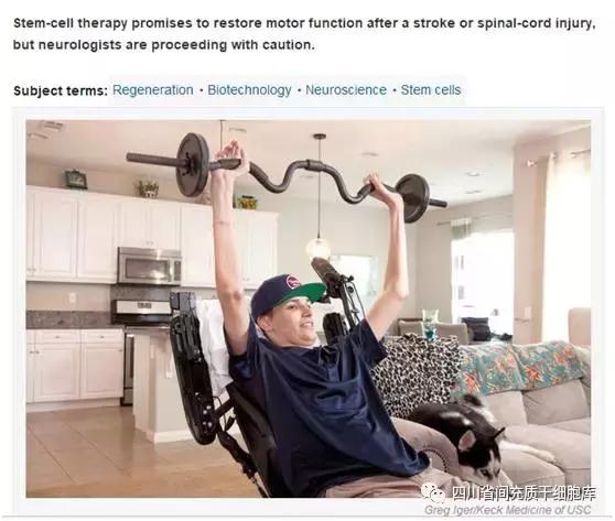 脐带血造血干细胞能治疗脑损伤吗,干细胞移植治疗脑损伤