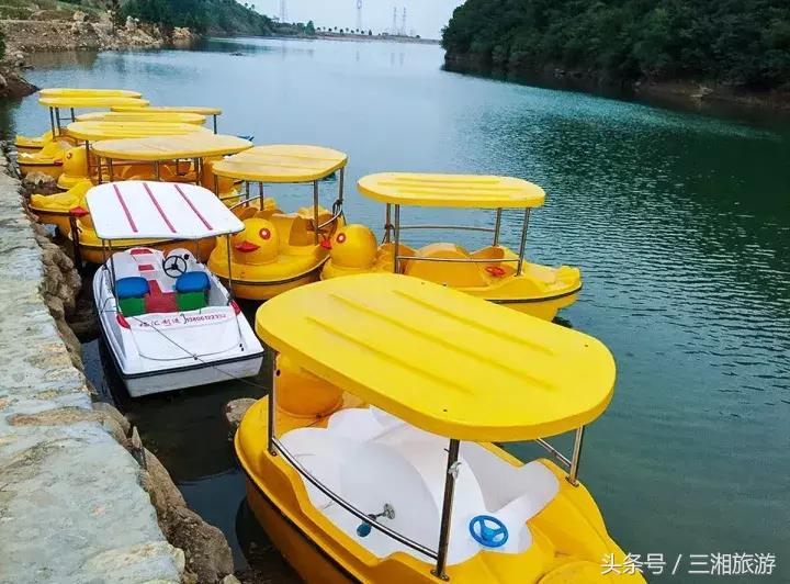 株洲哪里有花海可以看,株洲沿江风光带花海