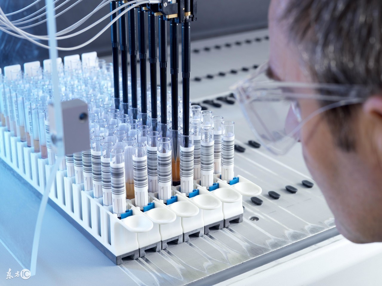 唐氏筛查怎么看准确率高,唐氏筛查怎么看是低风险图片