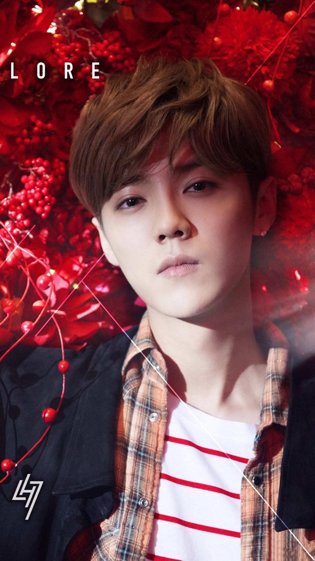 鹿晗高清手机壁纸大图,鹿晗高清壁纸2017卡通