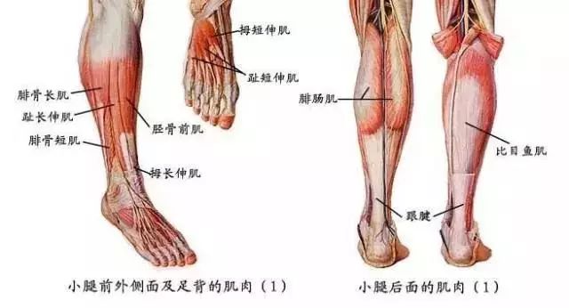 蒋欣三个动作瘦到90斤,蒋欣成功瘦到九十斤靠这三个动作