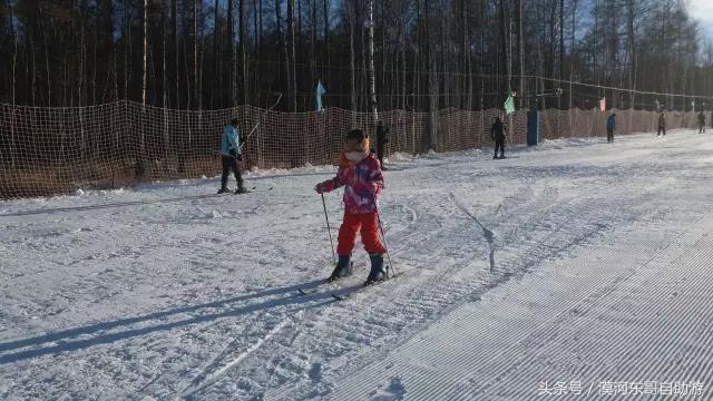 漠河景点大全漠河旅游包车攻略农家院旅游