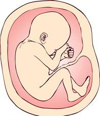 脐带脱垂的应急预案及处理流程,孕妈突发脐带脱垂了怎么办