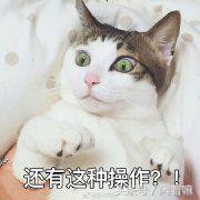 看不懂的月饼馅？！那些不按常理出牌的奇特口味月饼