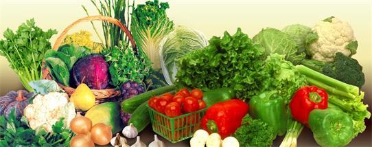 痛风饮食科普宣讲题目,痛风饮食科普文怎么写