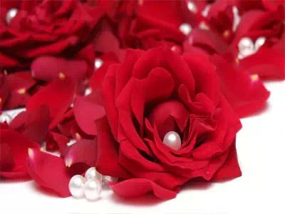 女性睾酮0.45高吗,睾酮高会引起amh值的变化吗