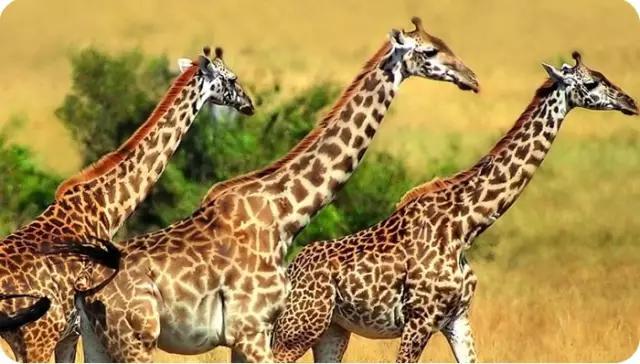 冬天青岛有什么好玩的地方,青岛冬天好玩儿的地方