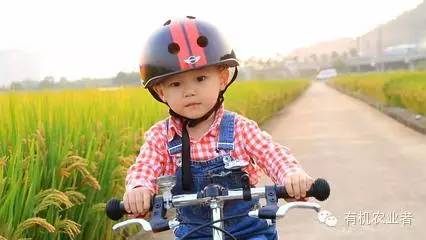 曾经|结伴跑在乡间小路上，跑过了整个童年~~