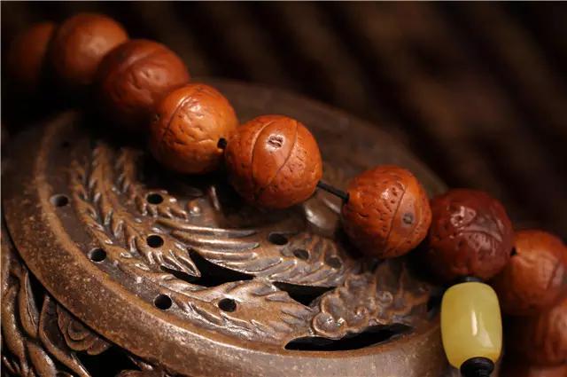 凤眼兄弟,凤眼菩提的兄弟姐妹们都是谁