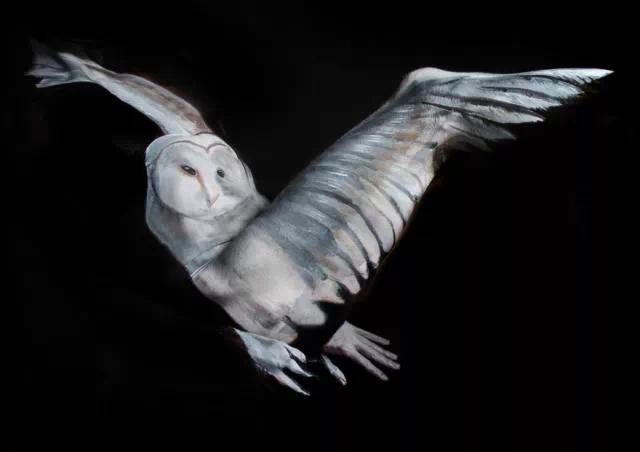 这是动物？不，这是人—人体彩绘告诉你眼见不为实