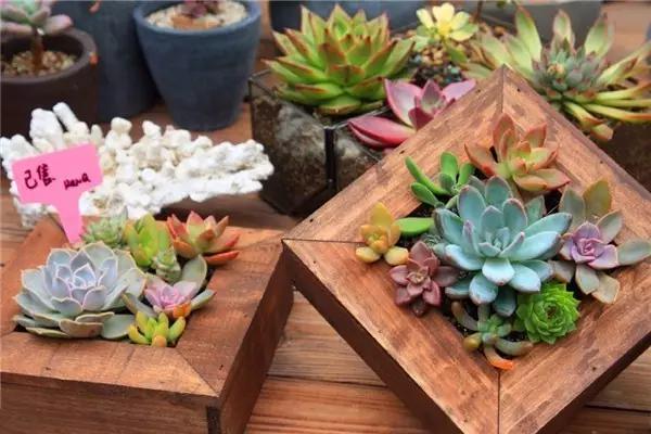 武汉阳逻花店,武汉武昌花店送花