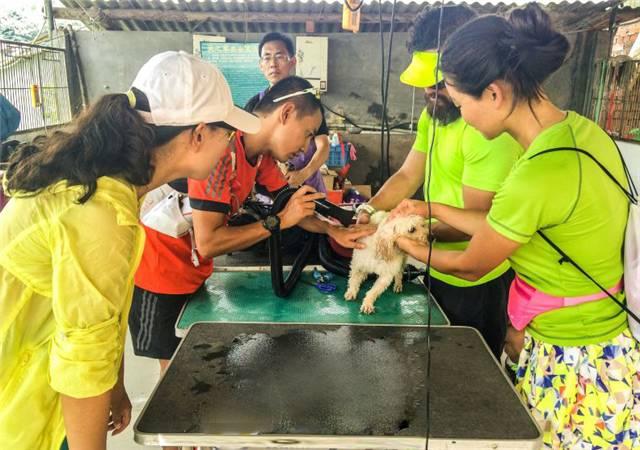 十大跑团,十佳跑团排行榜