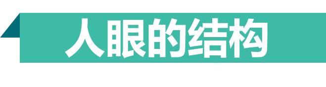得了黄斑病变还能玩手机,得了黄斑病症状