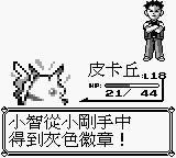 宠物小精灵20周年纪念视频,2021年新出的宠物小精灵